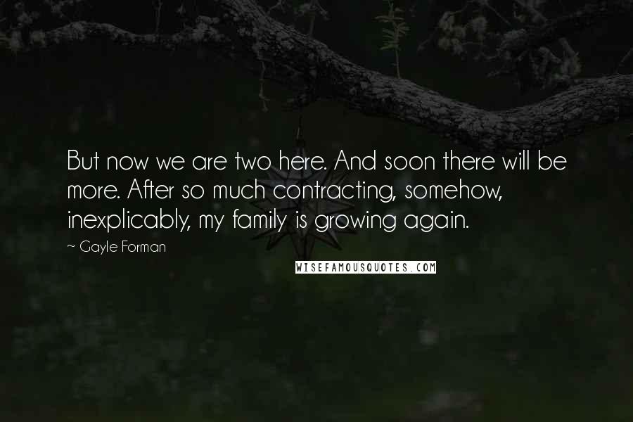 Gayle Forman Quotes: But now we are two here. And soon there will be more. After so much contracting, somehow, inexplicably, my family is growing again.