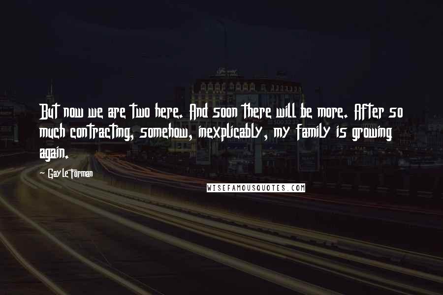 Gayle Forman Quotes: But now we are two here. And soon there will be more. After so much contracting, somehow, inexplicably, my family is growing again.
