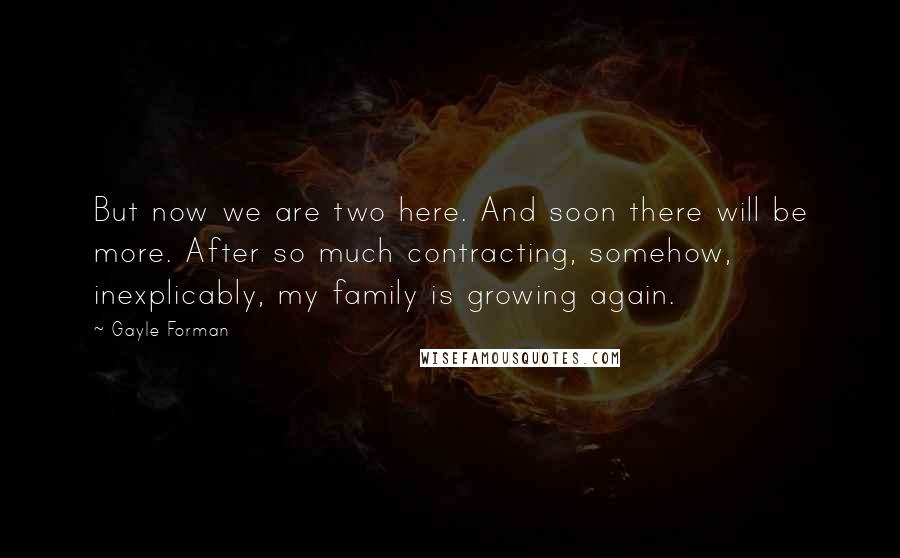 Gayle Forman Quotes: But now we are two here. And soon there will be more. After so much contracting, somehow, inexplicably, my family is growing again.