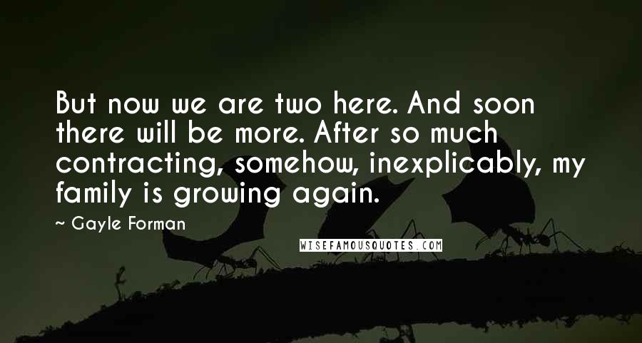 Gayle Forman Quotes: But now we are two here. And soon there will be more. After so much contracting, somehow, inexplicably, my family is growing again.