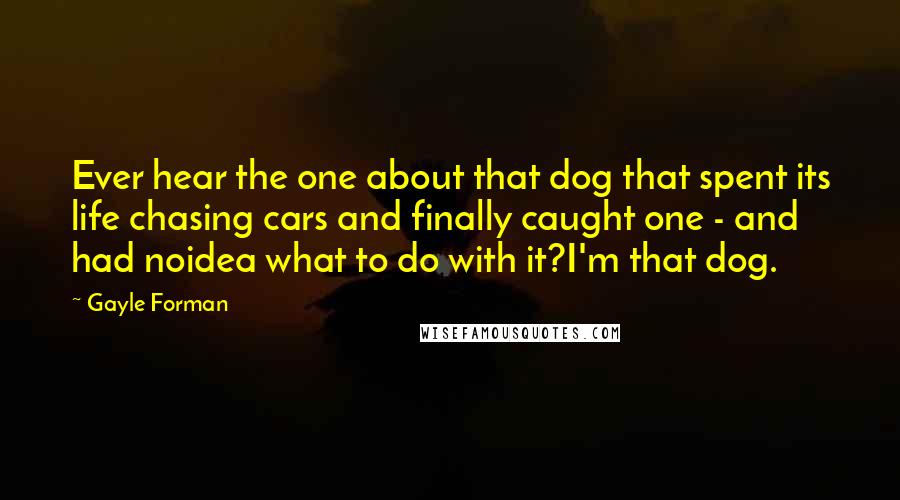 Gayle Forman Quotes: Ever hear the one about that dog that spent its life chasing cars and finally caught one - and had noidea what to do with it?I'm that dog.