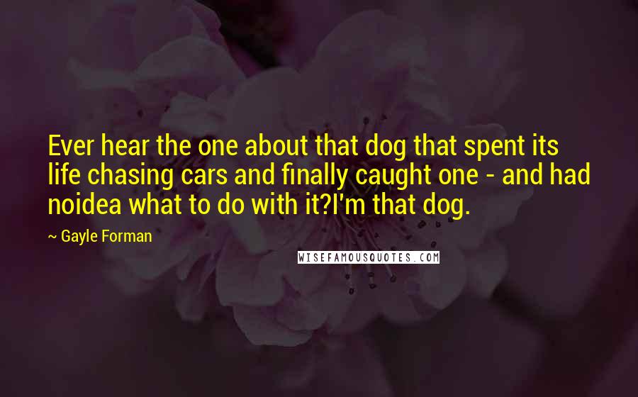 Gayle Forman Quotes: Ever hear the one about that dog that spent its life chasing cars and finally caught one - and had noidea what to do with it?I'm that dog.