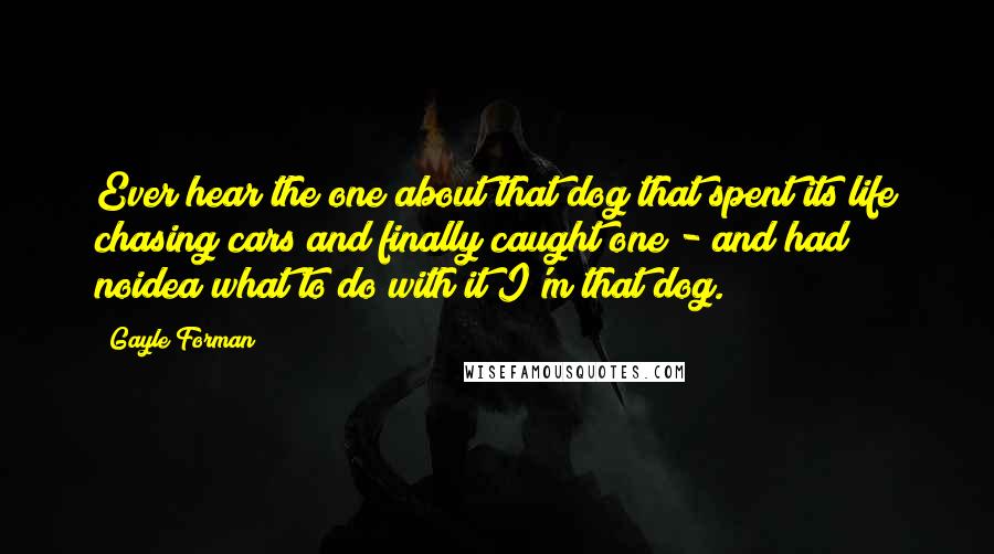 Gayle Forman Quotes: Ever hear the one about that dog that spent its life chasing cars and finally caught one - and had noidea what to do with it?I'm that dog.