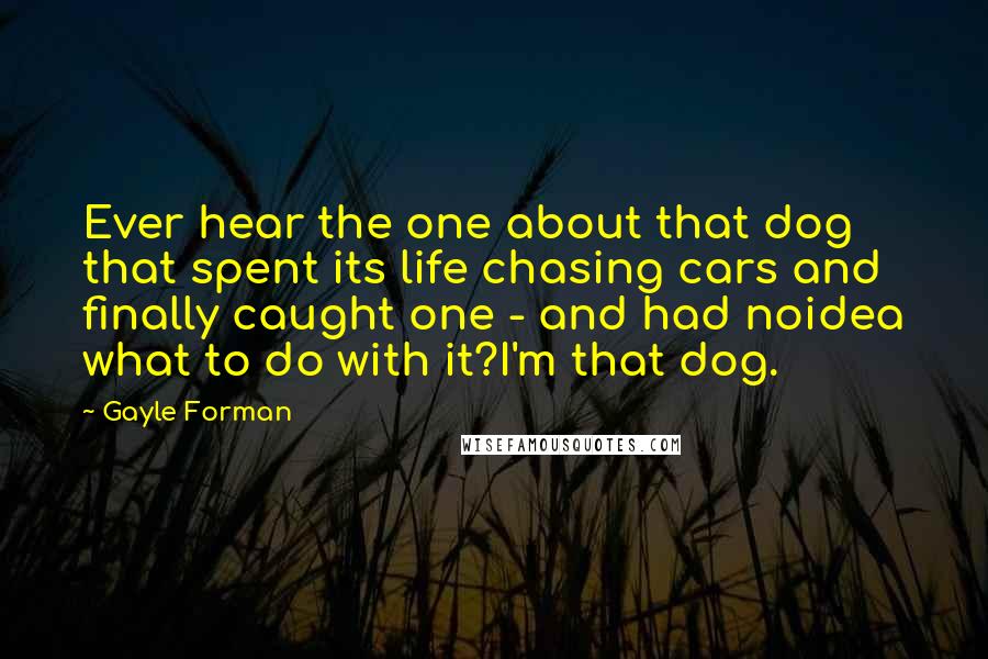 Gayle Forman Quotes: Ever hear the one about that dog that spent its life chasing cars and finally caught one - and had noidea what to do with it?I'm that dog.