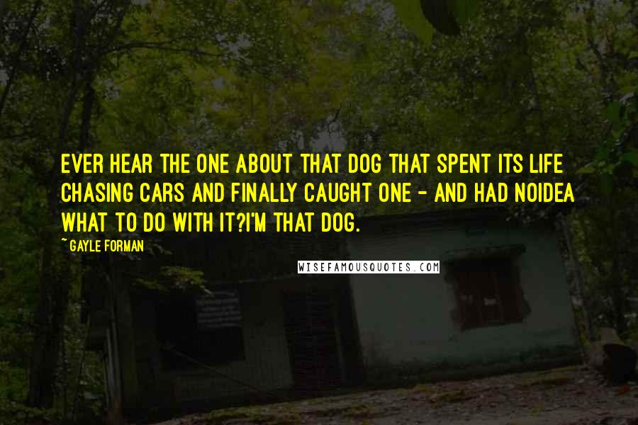 Gayle Forman Quotes: Ever hear the one about that dog that spent its life chasing cars and finally caught one - and had noidea what to do with it?I'm that dog.