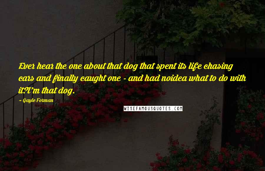 Gayle Forman Quotes: Ever hear the one about that dog that spent its life chasing cars and finally caught one - and had noidea what to do with it?I'm that dog.