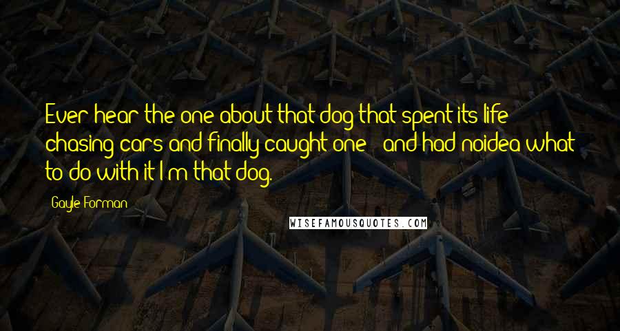 Gayle Forman Quotes: Ever hear the one about that dog that spent its life chasing cars and finally caught one - and had noidea what to do with it?I'm that dog.