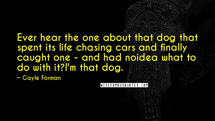 Gayle Forman Quotes: Ever hear the one about that dog that spent its life chasing cars and finally caught one - and had noidea what to do with it?I'm that dog.