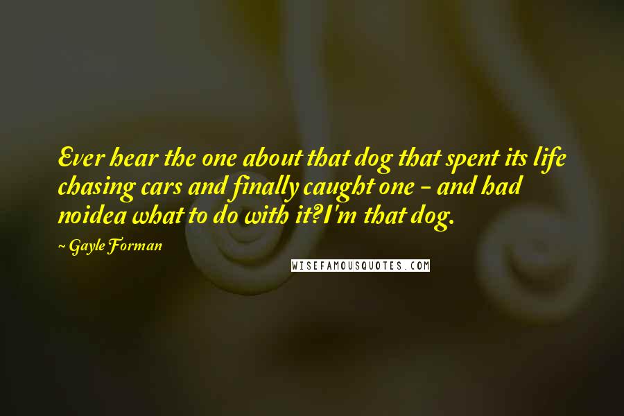 Gayle Forman Quotes: Ever hear the one about that dog that spent its life chasing cars and finally caught one - and had noidea what to do with it?I'm that dog.