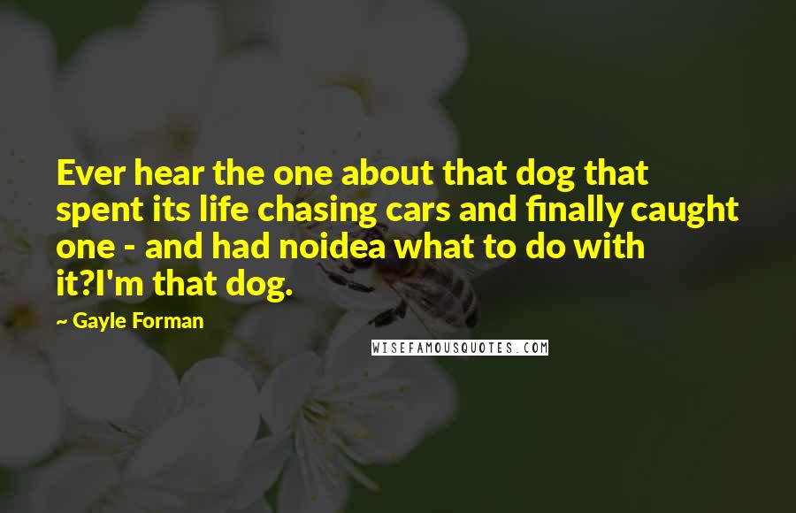 Gayle Forman Quotes: Ever hear the one about that dog that spent its life chasing cars and finally caught one - and had noidea what to do with it?I'm that dog.