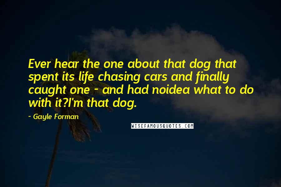 Gayle Forman Quotes: Ever hear the one about that dog that spent its life chasing cars and finally caught one - and had noidea what to do with it?I'm that dog.