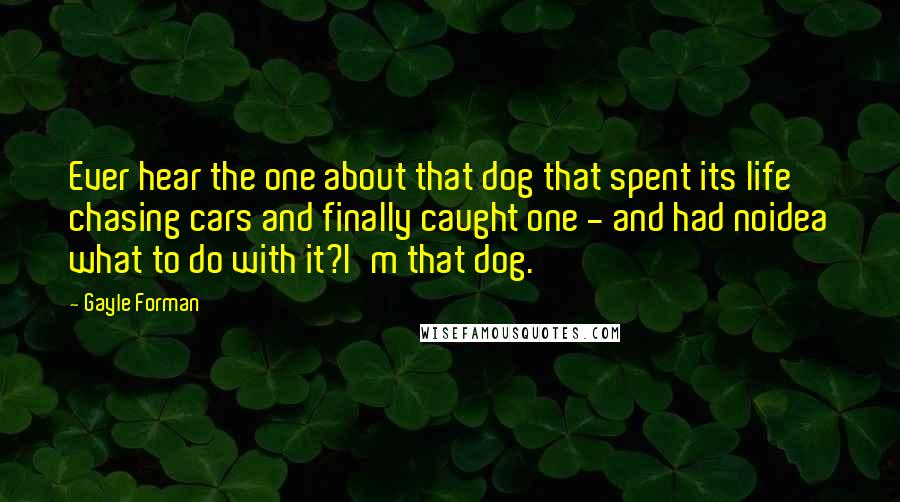 Gayle Forman Quotes: Ever hear the one about that dog that spent its life chasing cars and finally caught one - and had noidea what to do with it?I'm that dog.