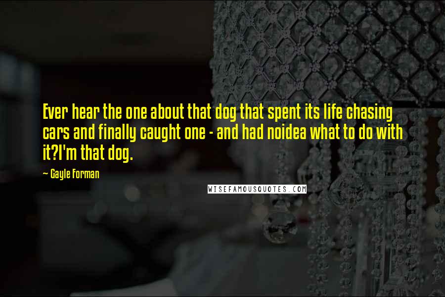 Gayle Forman Quotes: Ever hear the one about that dog that spent its life chasing cars and finally caught one - and had noidea what to do with it?I'm that dog.