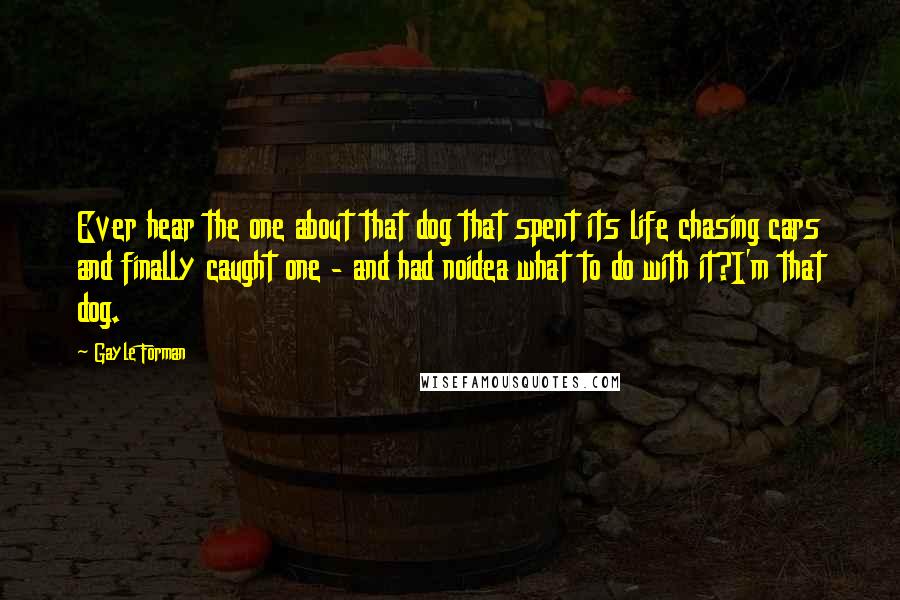 Gayle Forman Quotes: Ever hear the one about that dog that spent its life chasing cars and finally caught one - and had noidea what to do with it?I'm that dog.