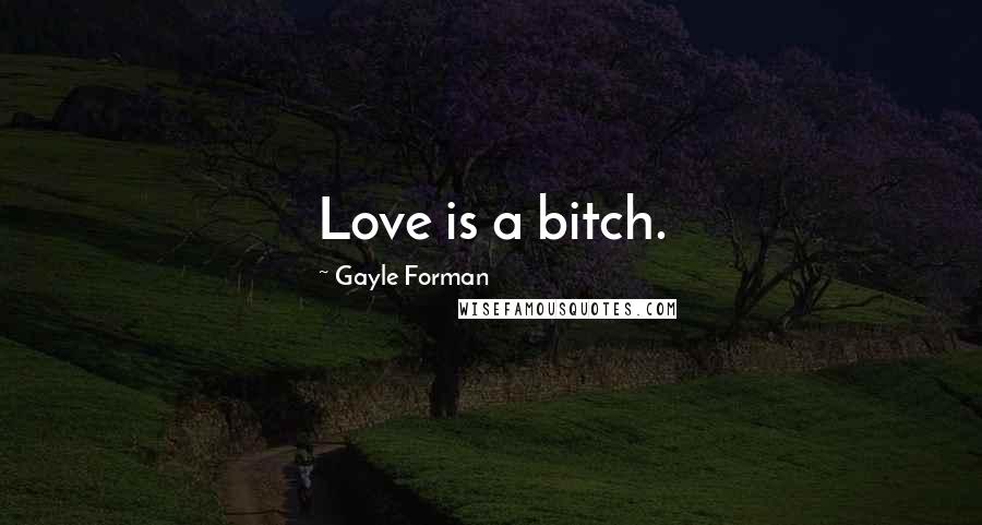 Gayle Forman Quotes: Love is a bitch.