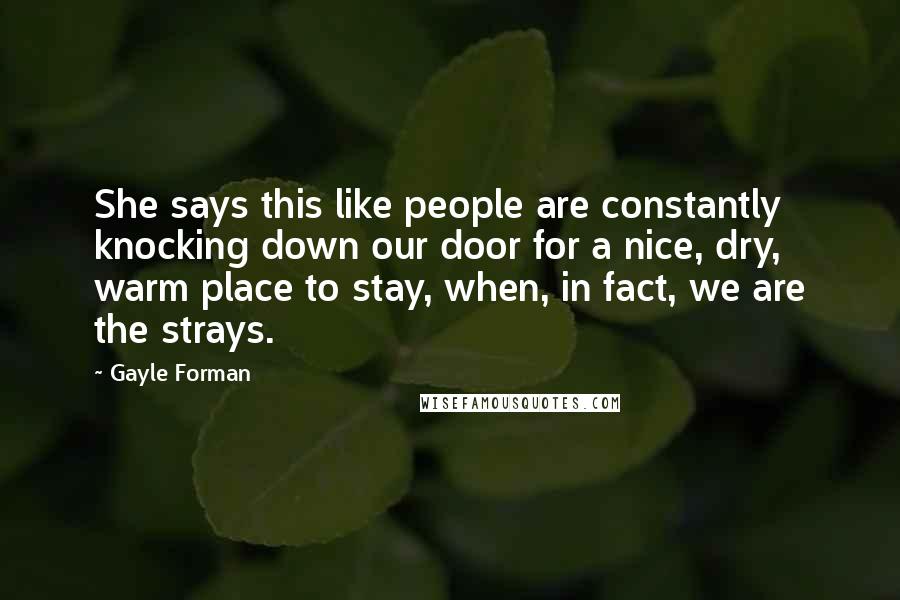 Gayle Forman Quotes: She says this like people are constantly knocking down our door for a nice, dry, warm place to stay, when, in fact, we are the strays.