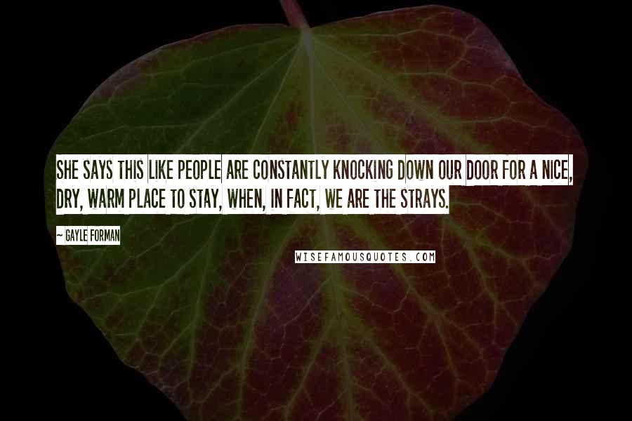 Gayle Forman Quotes: She says this like people are constantly knocking down our door for a nice, dry, warm place to stay, when, in fact, we are the strays.