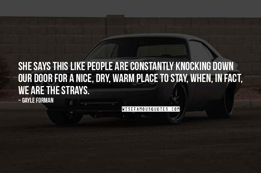Gayle Forman Quotes: She says this like people are constantly knocking down our door for a nice, dry, warm place to stay, when, in fact, we are the strays.