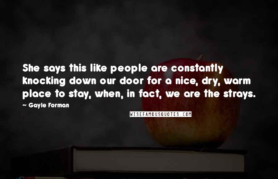 Gayle Forman Quotes: She says this like people are constantly knocking down our door for a nice, dry, warm place to stay, when, in fact, we are the strays.