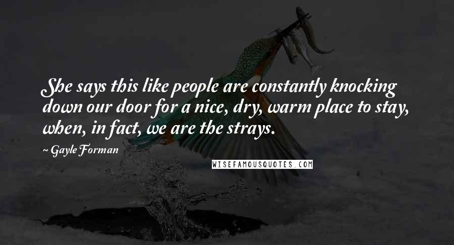 Gayle Forman Quotes: She says this like people are constantly knocking down our door for a nice, dry, warm place to stay, when, in fact, we are the strays.