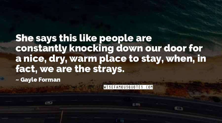 Gayle Forman Quotes: She says this like people are constantly knocking down our door for a nice, dry, warm place to stay, when, in fact, we are the strays.