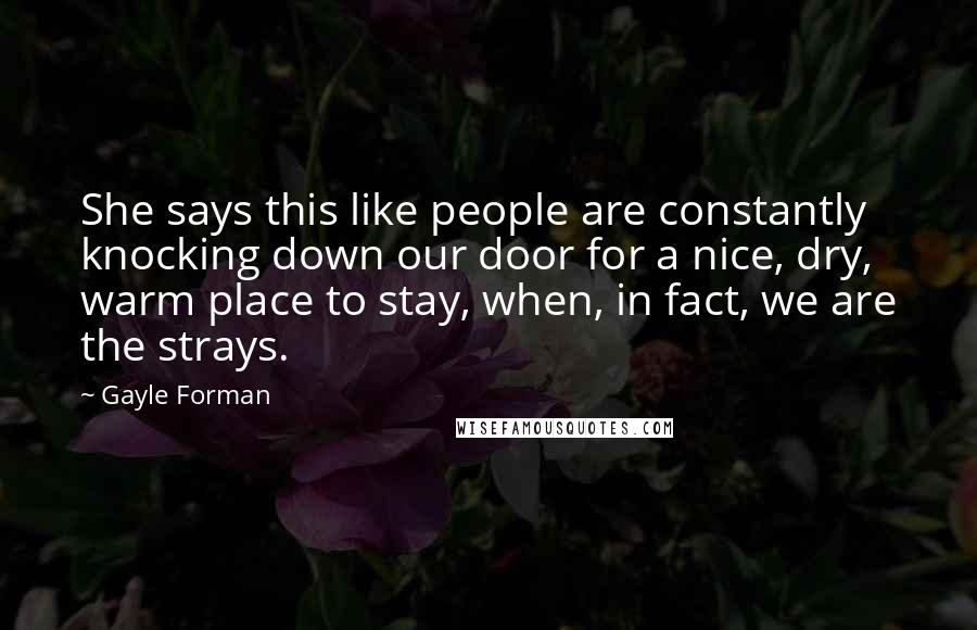 Gayle Forman Quotes: She says this like people are constantly knocking down our door for a nice, dry, warm place to stay, when, in fact, we are the strays.