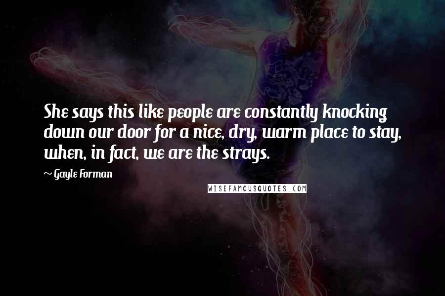 Gayle Forman Quotes: She says this like people are constantly knocking down our door for a nice, dry, warm place to stay, when, in fact, we are the strays.