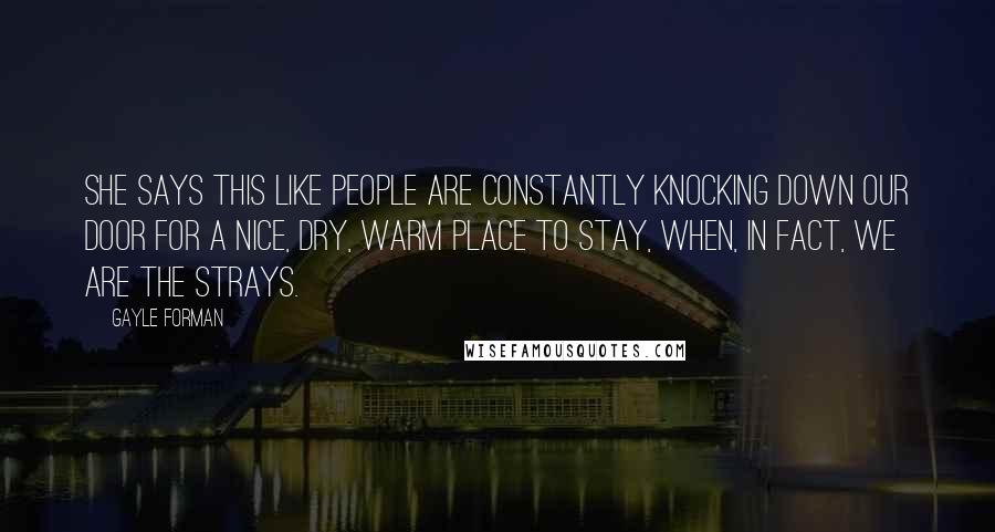 Gayle Forman Quotes: She says this like people are constantly knocking down our door for a nice, dry, warm place to stay, when, in fact, we are the strays.