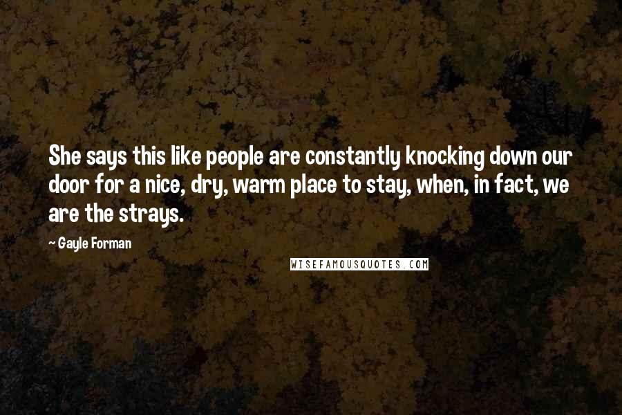 Gayle Forman Quotes: She says this like people are constantly knocking down our door for a nice, dry, warm place to stay, when, in fact, we are the strays.