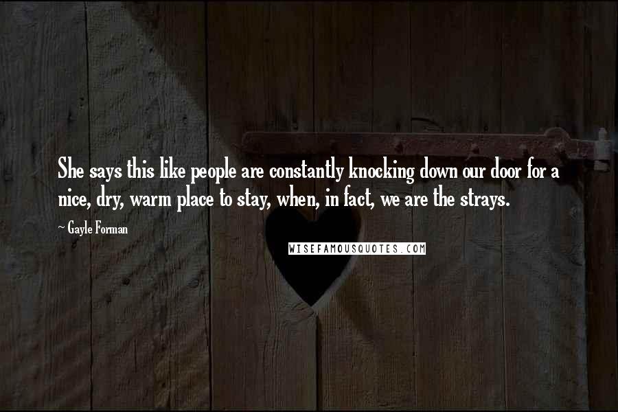 Gayle Forman Quotes: She says this like people are constantly knocking down our door for a nice, dry, warm place to stay, when, in fact, we are the strays.