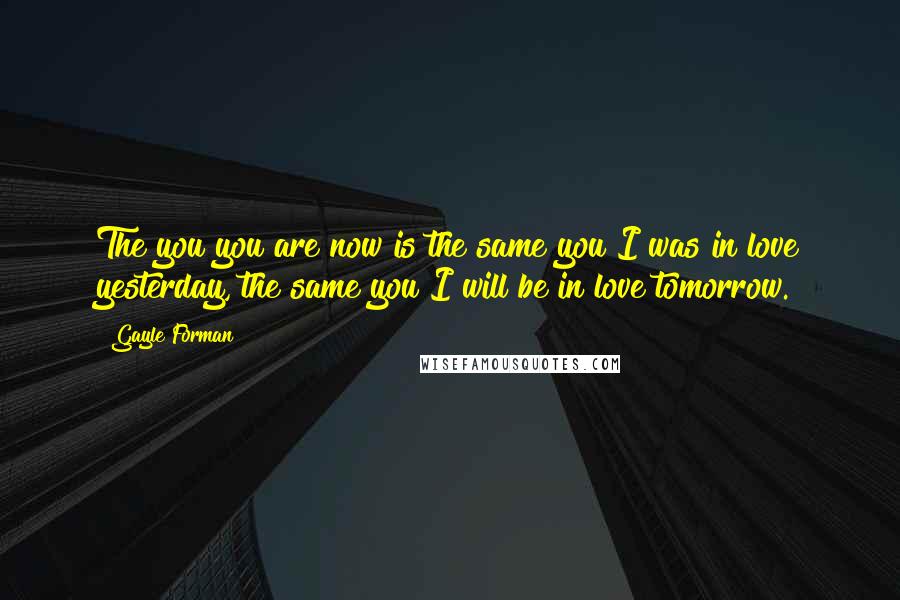 Gayle Forman Quotes: The you you are now is the same you I was in love yesterday, the same you I will be in love tomorrow.