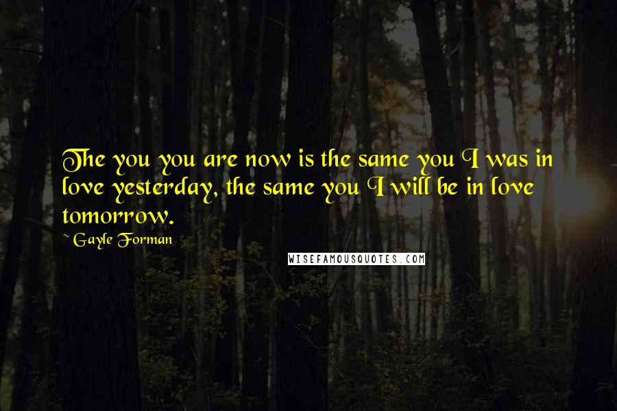 Gayle Forman Quotes: The you you are now is the same you I was in love yesterday, the same you I will be in love tomorrow.