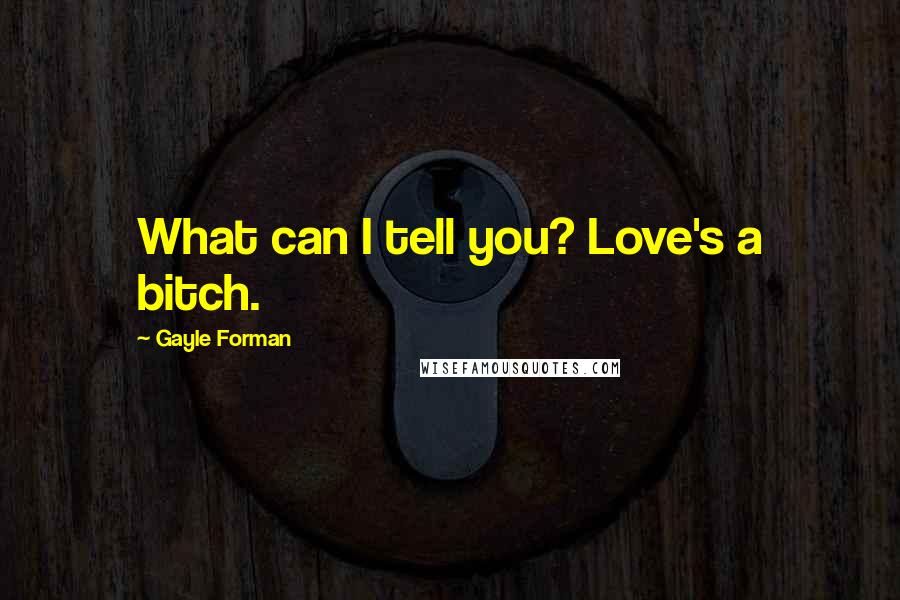 Gayle Forman Quotes: What can I tell you? Love's a bitch.
