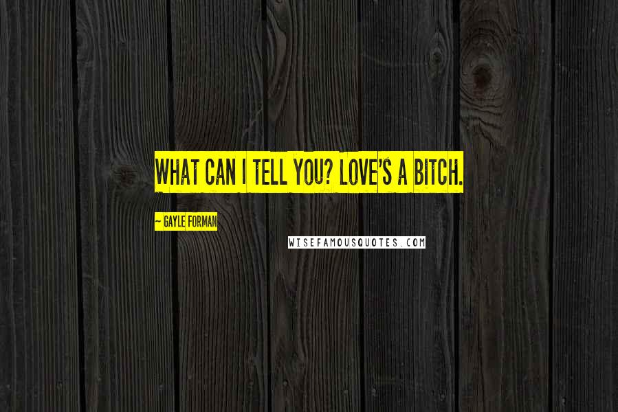 Gayle Forman Quotes: What can I tell you? Love's a bitch.