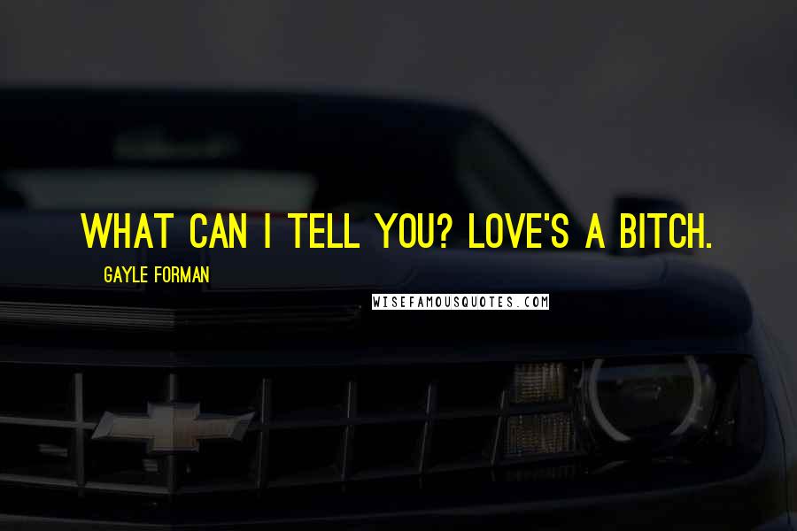 Gayle Forman Quotes: What can I tell you? Love's a bitch.