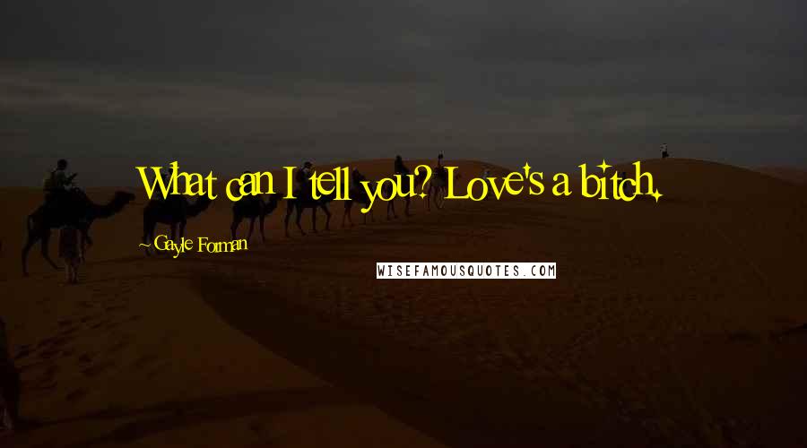 Gayle Forman Quotes: What can I tell you? Love's a bitch.