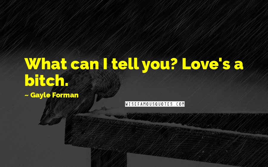 Gayle Forman Quotes: What can I tell you? Love's a bitch.