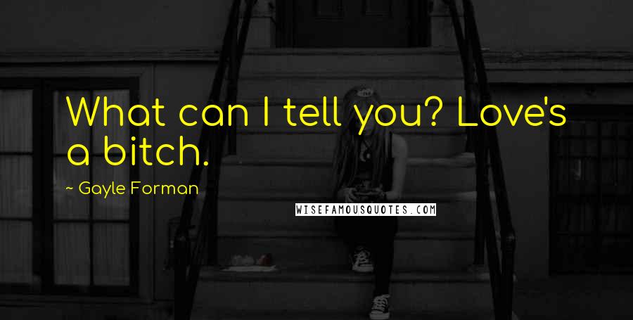 Gayle Forman Quotes: What can I tell you? Love's a bitch.