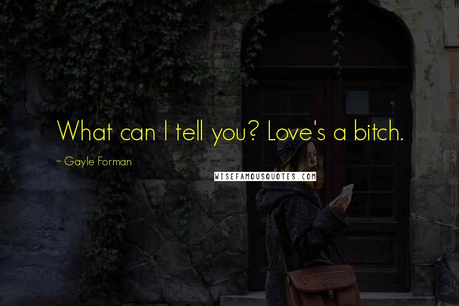 Gayle Forman Quotes: What can I tell you? Love's a bitch.