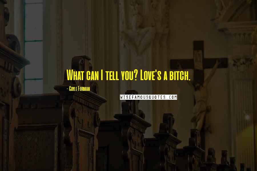 Gayle Forman Quotes: What can I tell you? Love's a bitch.