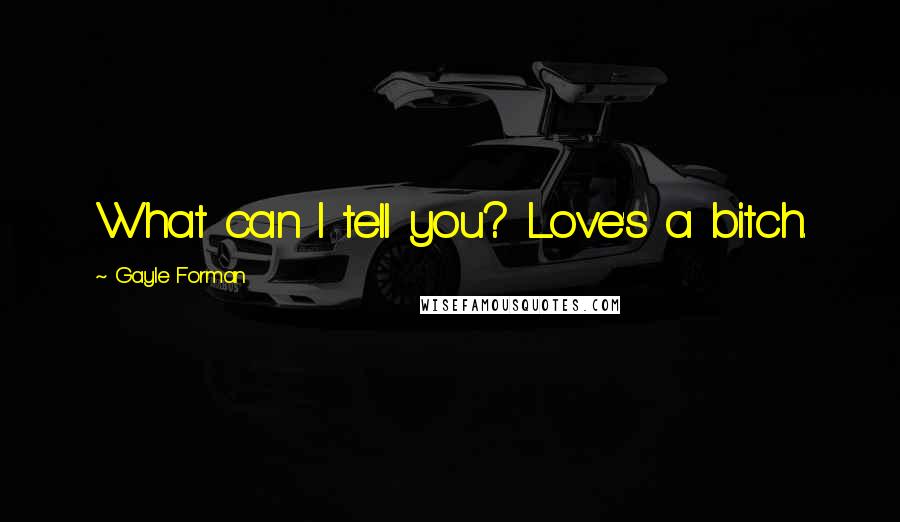 Gayle Forman Quotes: What can I tell you? Love's a bitch.