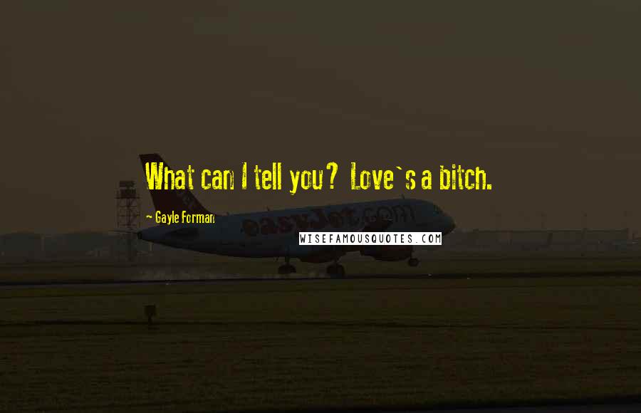 Gayle Forman Quotes: What can I tell you? Love's a bitch.