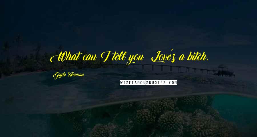 Gayle Forman Quotes: What can I tell you? Love's a bitch.
