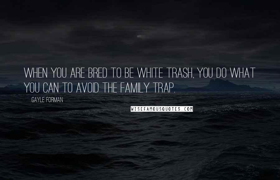 Gayle Forman Quotes: When you are bred to be white trash, you do what you can to avoid the family trap.