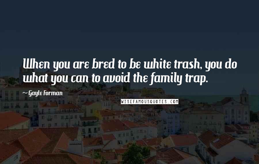 Gayle Forman Quotes: When you are bred to be white trash, you do what you can to avoid the family trap.