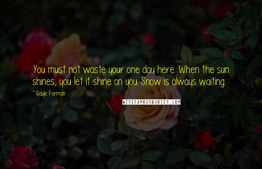 Gayle Forman Quotes: You must not waste your one day here. When the sun shines, you let it shine on you. Snow is always waiting.