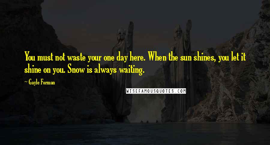 Gayle Forman Quotes: You must not waste your one day here. When the sun shines, you let it shine on you. Snow is always waiting.