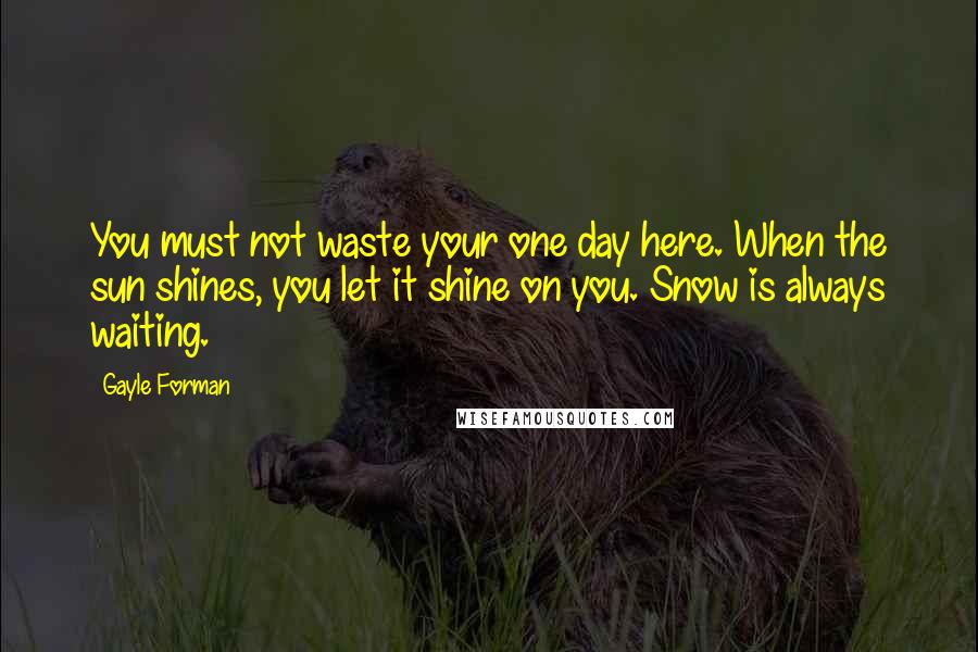 Gayle Forman Quotes: You must not waste your one day here. When the sun shines, you let it shine on you. Snow is always waiting.