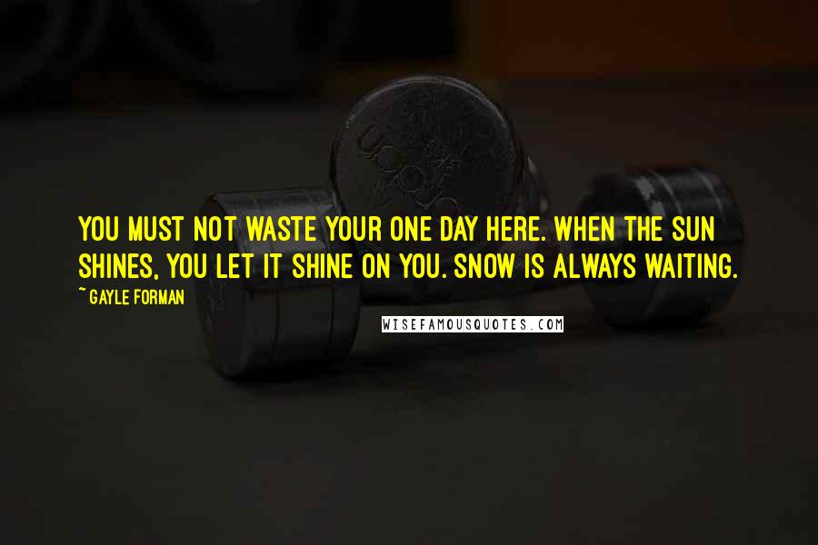 Gayle Forman Quotes: You must not waste your one day here. When the sun shines, you let it shine on you. Snow is always waiting.