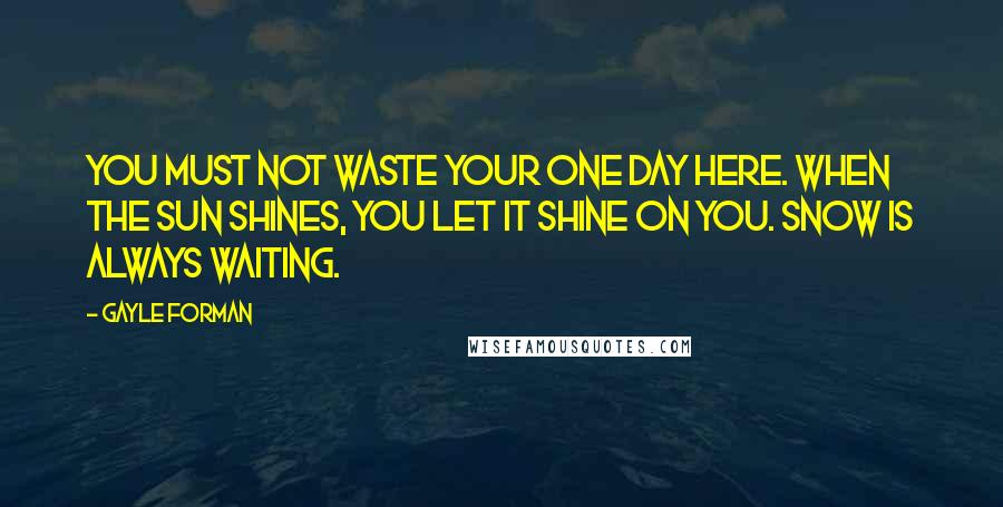 Gayle Forman Quotes: You must not waste your one day here. When the sun shines, you let it shine on you. Snow is always waiting.